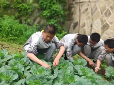 如何来缓解孩子的学习压力?聪明的家长都在这样做